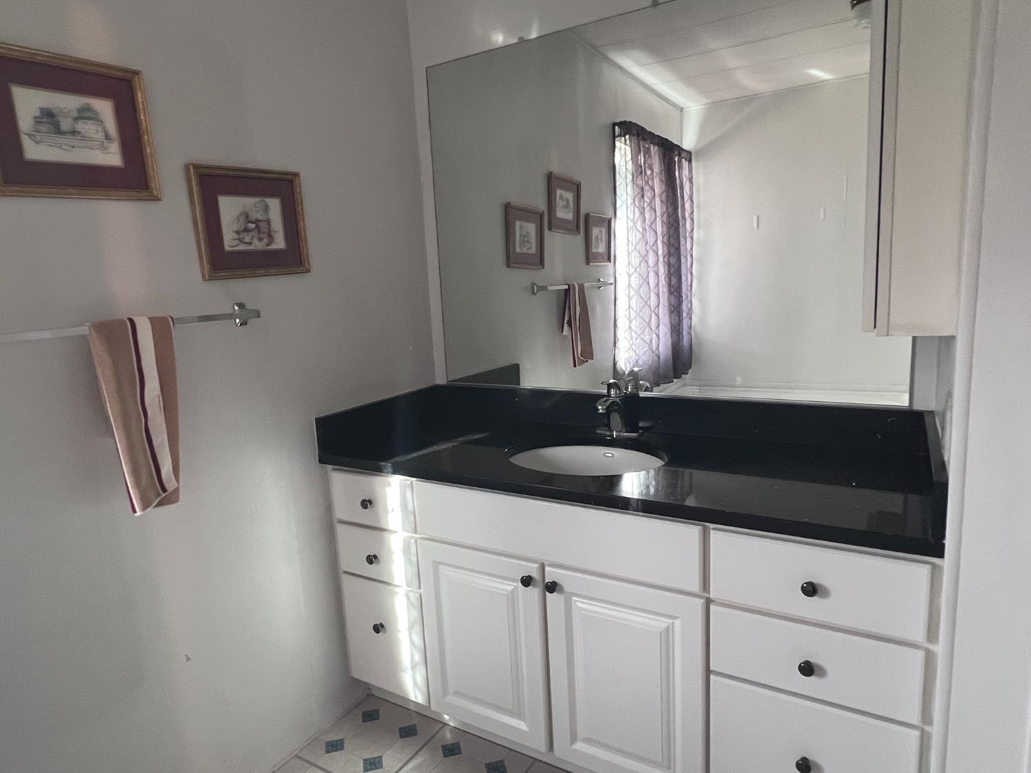 3913 Waimea Lane Modesto, CA 95355 - Photo 30 of 32 a bathroom with a sink and a mirror