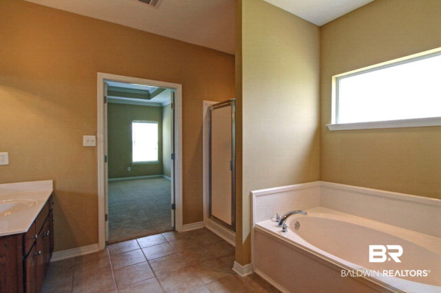 25643 Overlook Drive Loxley, AL 36551 - Photo 11 of 24 master bathroom