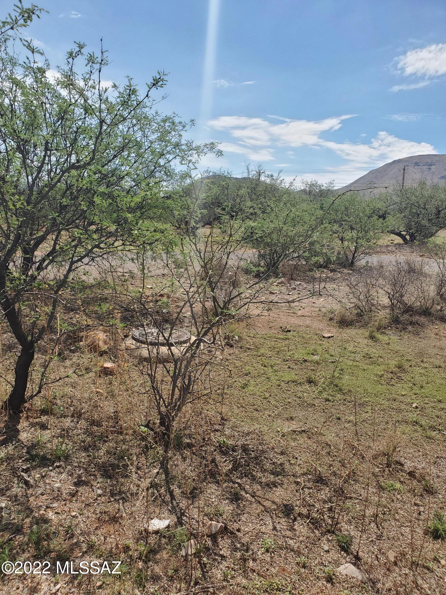 1838 Fortis Court, Unit 13 Rio Rico, AZ 85648 - Photo 8 of 8