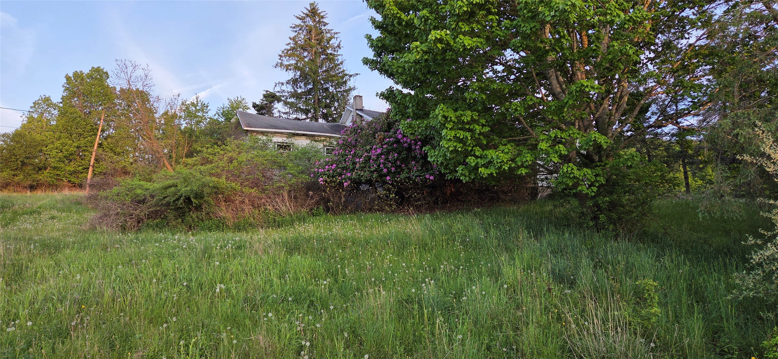 902 Roki Boulevard Nichols, NY 13812 - Photo 3 of 34