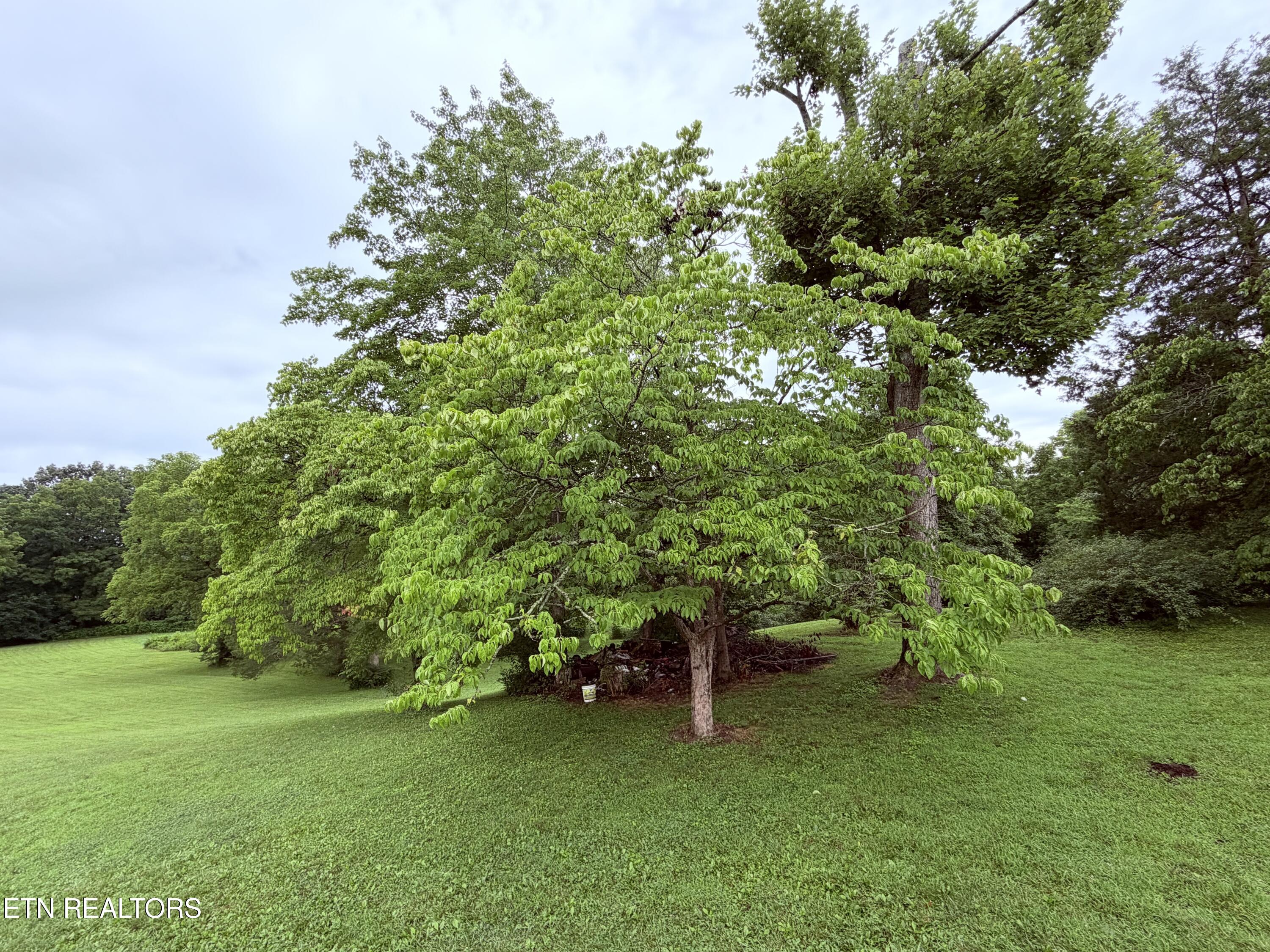 371 Pinecrest Road Jacksboro, TN 37757 - Photo 32 of 48 IMG_3299
