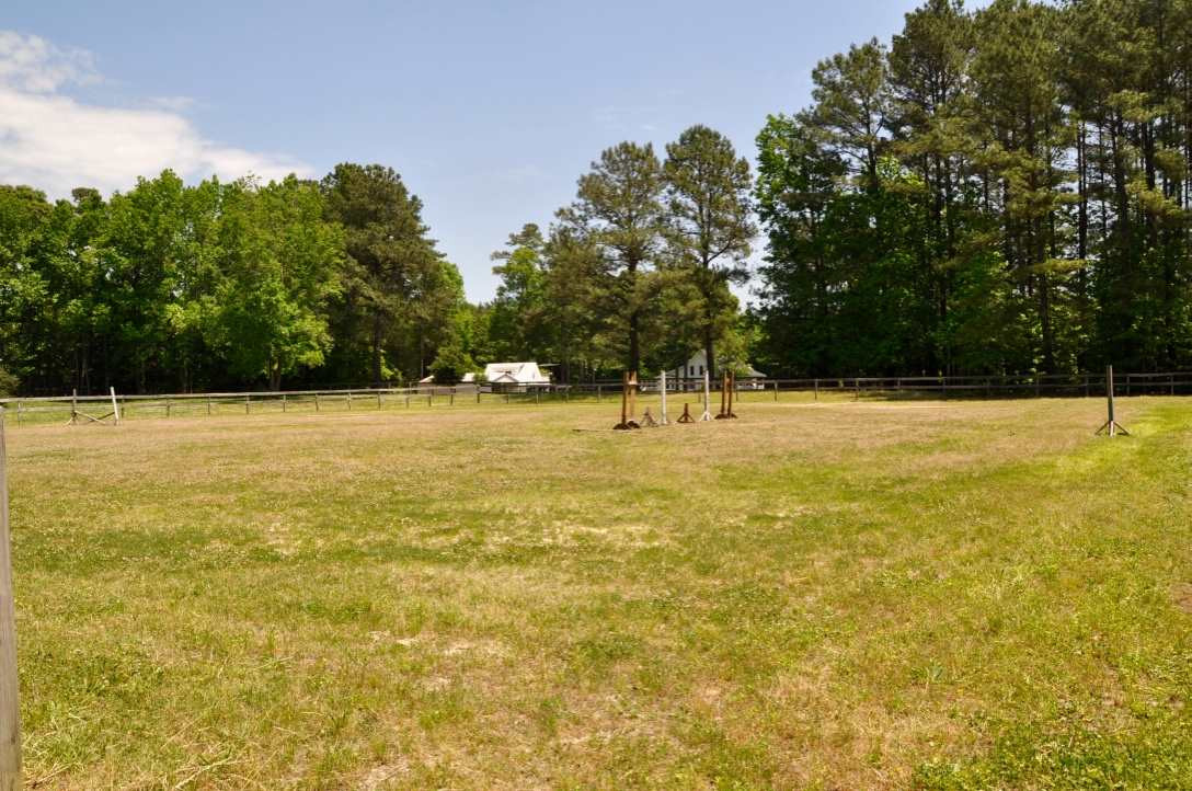 8005 Halifax Road Youngsville, NC 27596 - Photo 8 of 25 Riding Ring