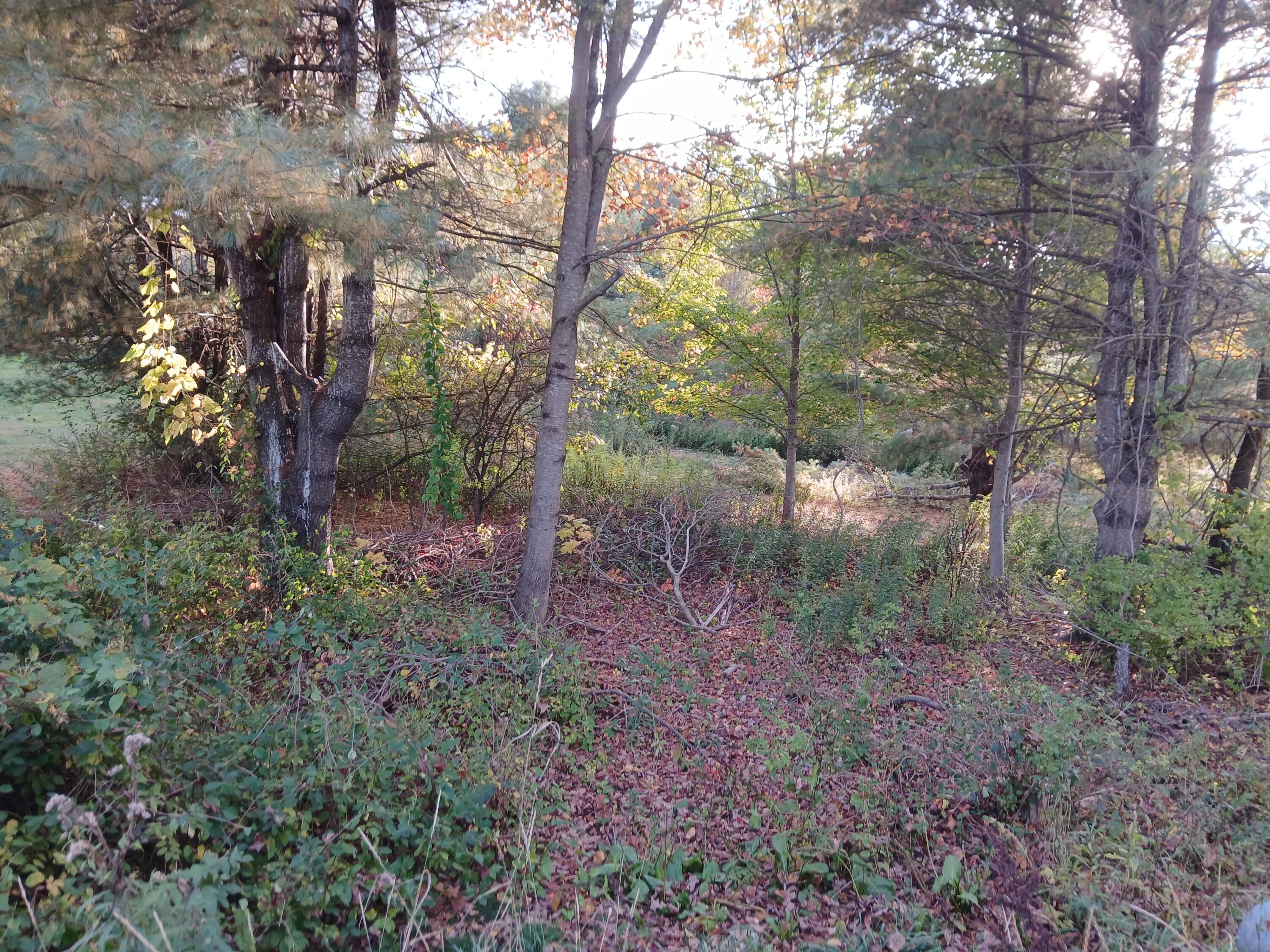 45-a-a 45-a-a Hornbeck Cross Bowdoin, ME 04287 - Photo 2 of 5 1000009537