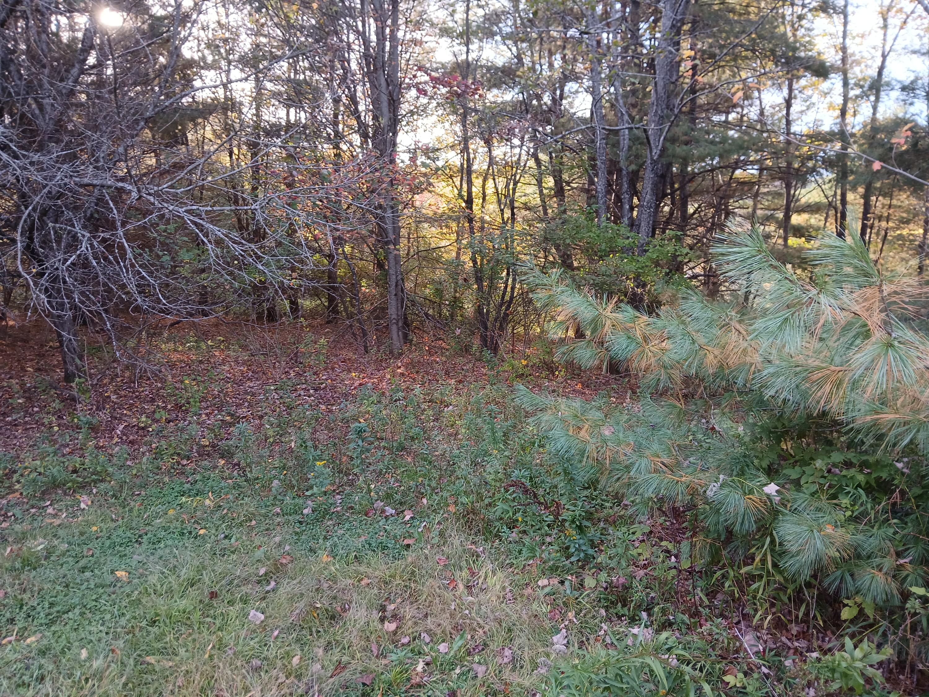 45-a-a 45-a-a Hornbeck Cross Bowdoin, ME 04287 - Photo 3 of 5 1000009541 (1)