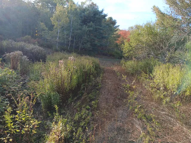 $60,000 | 45-a-a 45-a-a Hornbeck Cross, Bowdoin, ME 04287