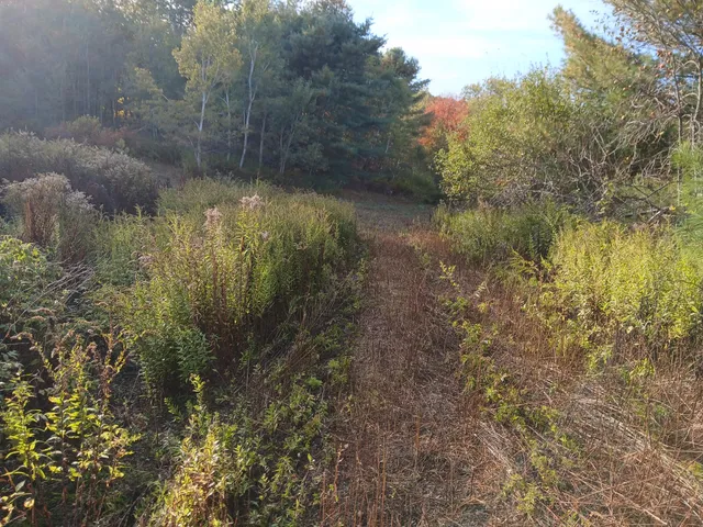 $60,000 | 45-a-a 45-a-a Hornbeck Cross, Bowdoin, ME 04287