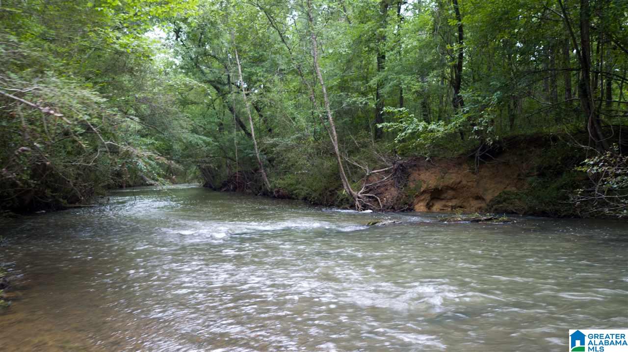 180 Gibson Road, Unit 76 / ACRES OFF GIBSON R Columbiana, AL 35051 - Photo 26 of 50