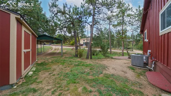 a view of a backyard with large trees