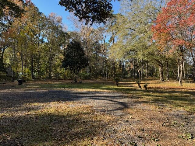 242 Bluebird Lane Moncks Corner, SC 29461 - Photo 11 of 12 IMG_4862