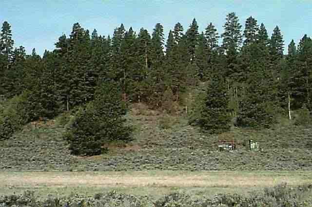 37566 Rollingwood Road Chiloquin, OR 97624 - Photo 2 of 4 Additional Photo