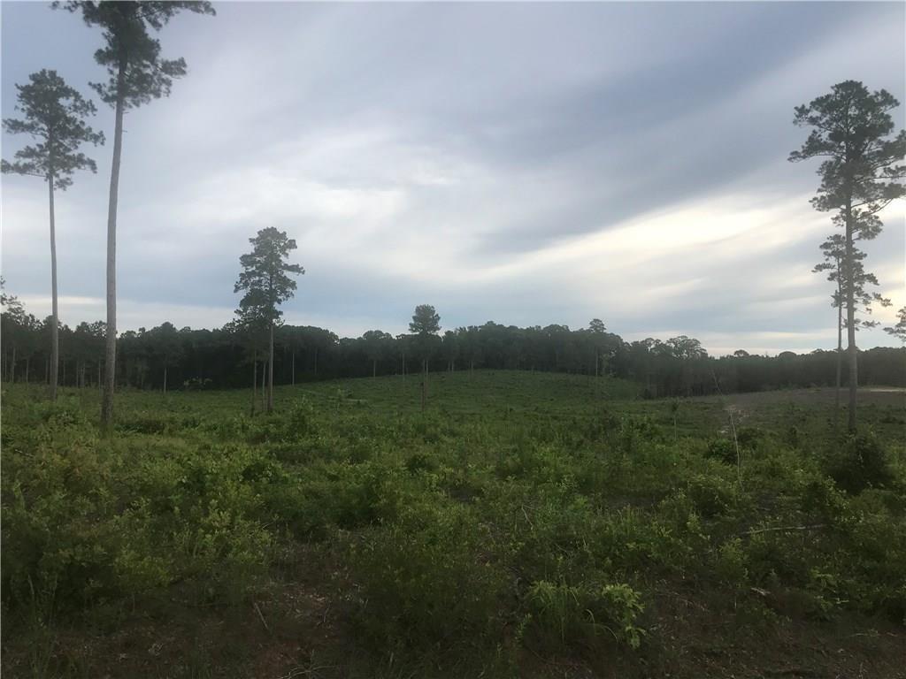 6 Douglas Road Dry Prong, LA 71423 - Photo 1 of 1 Gallery Image 1