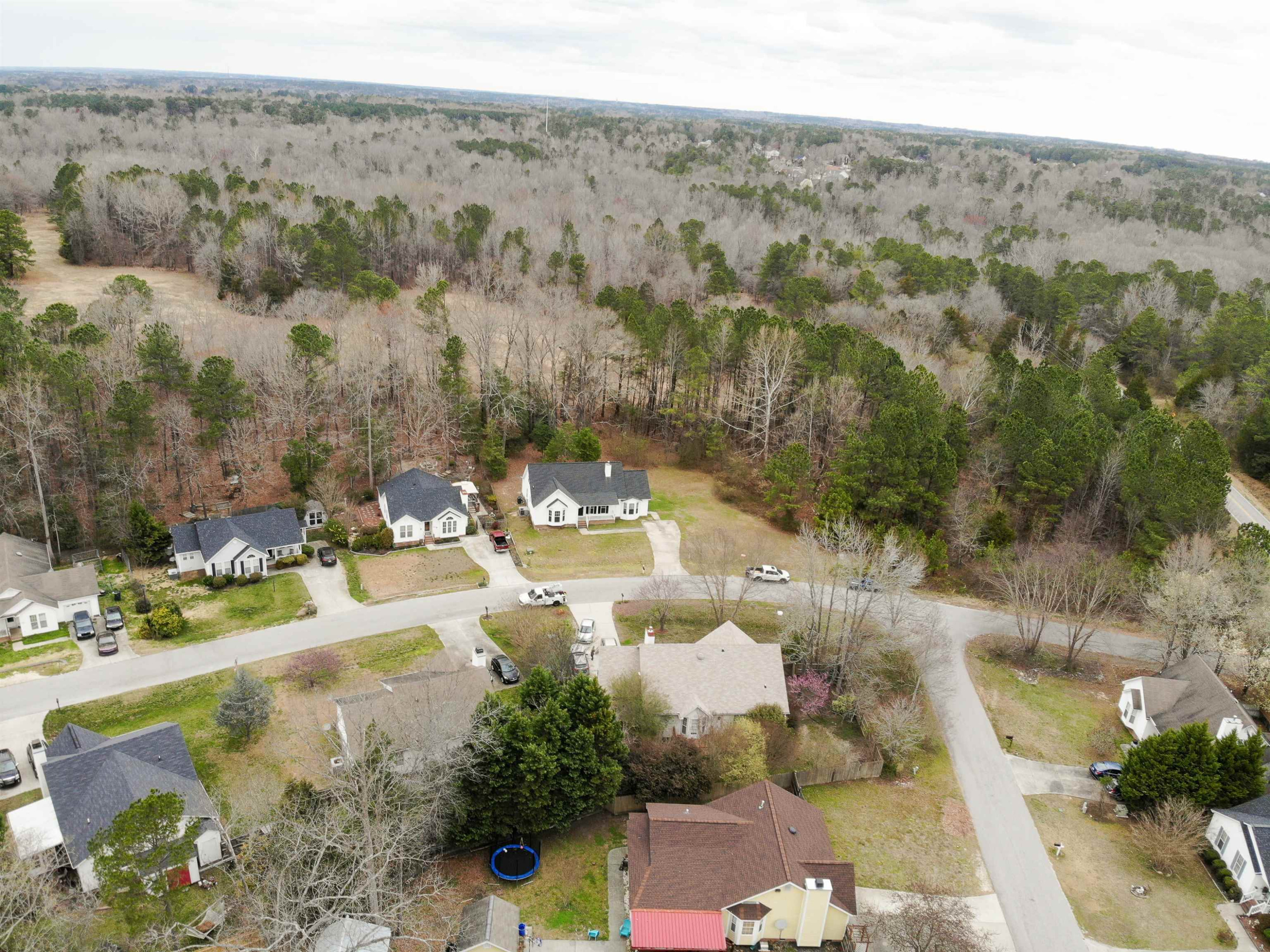 4517 Labrador Drive Raleigh, NC 27616 - Photo 10 of 35 Photo 10