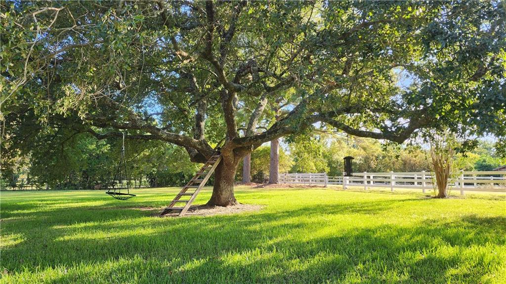 82 Winfield Road Alexandria, LA 71303 - Photo 21 of 29 Gallery Image 21