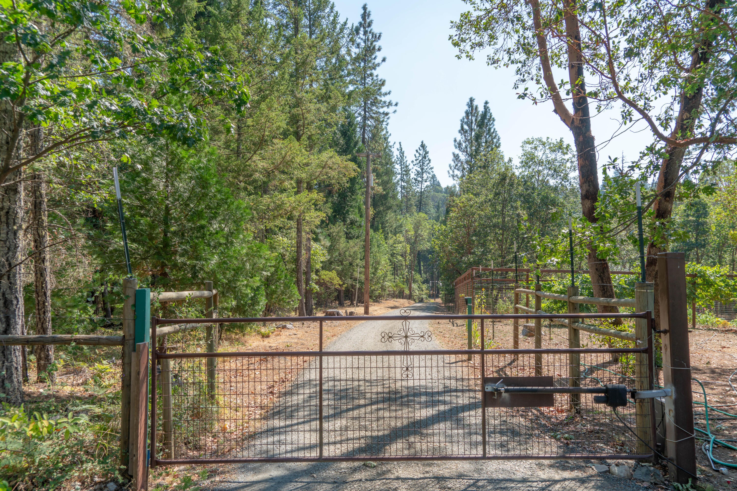 4179 Ditch Creek Road Rogue River, OR 97537 - Photo 7 of 50 Driveway