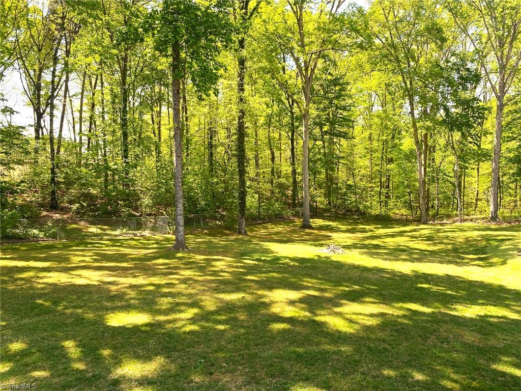 1350 Bethania-Rural Hall Road Winston-Salem, NC 27106 - Photo 6 of 29 What a back yard to view and utilize.