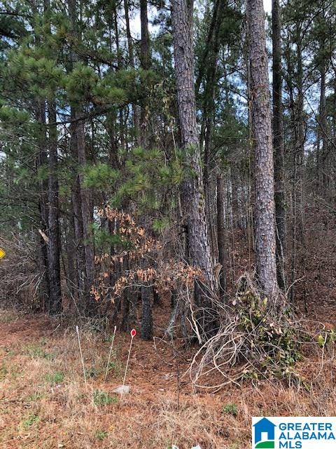 0 Pleasant Valley Road, Unit 1 Jacksonville, AL 36265 - Photo 6 of 24