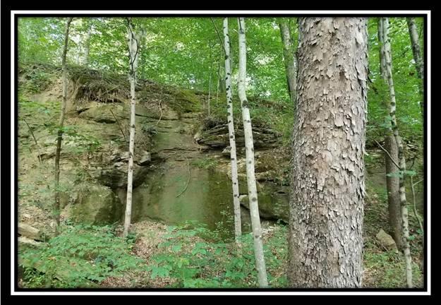 0 Koches Road Millfield, OH 45761 - Photo 15 of 53