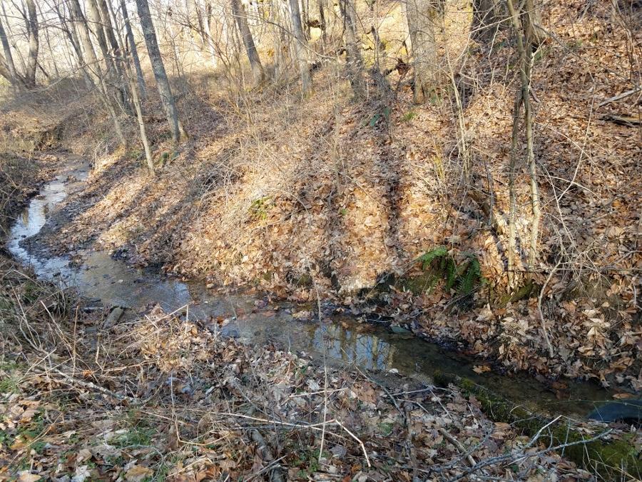 0 Koches Road Millfield, OH 45761 - Photo 17 of 53