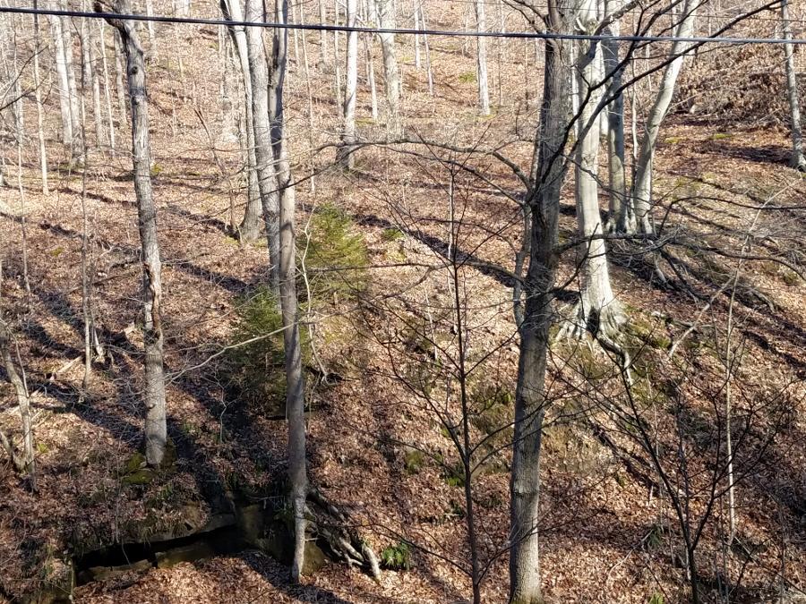 0 Koches Road Millfield, OH 45761 - Photo 24 of 53