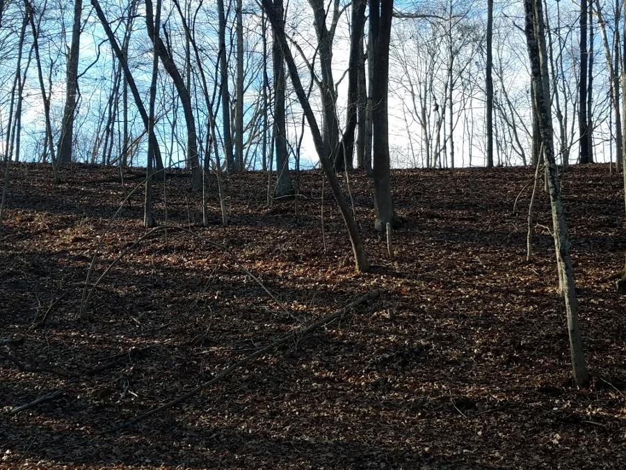 0 Koches Road Millfield, OH 45761 - Photo 26 of 53