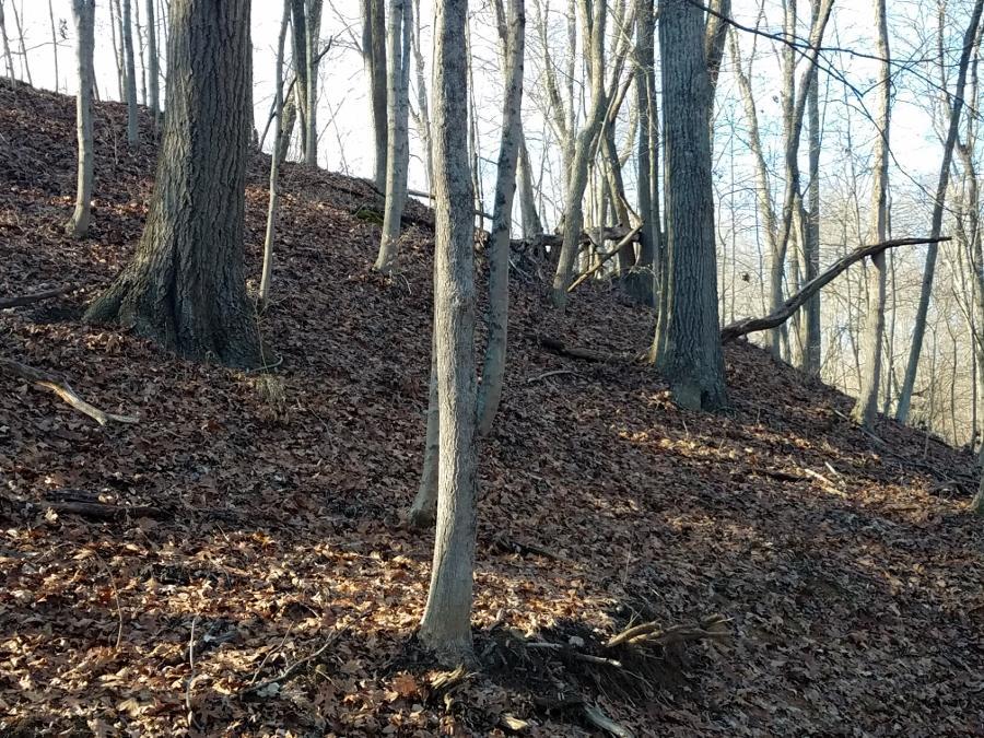 0 Koches Road Millfield, OH 45761 - Photo 29 of 53