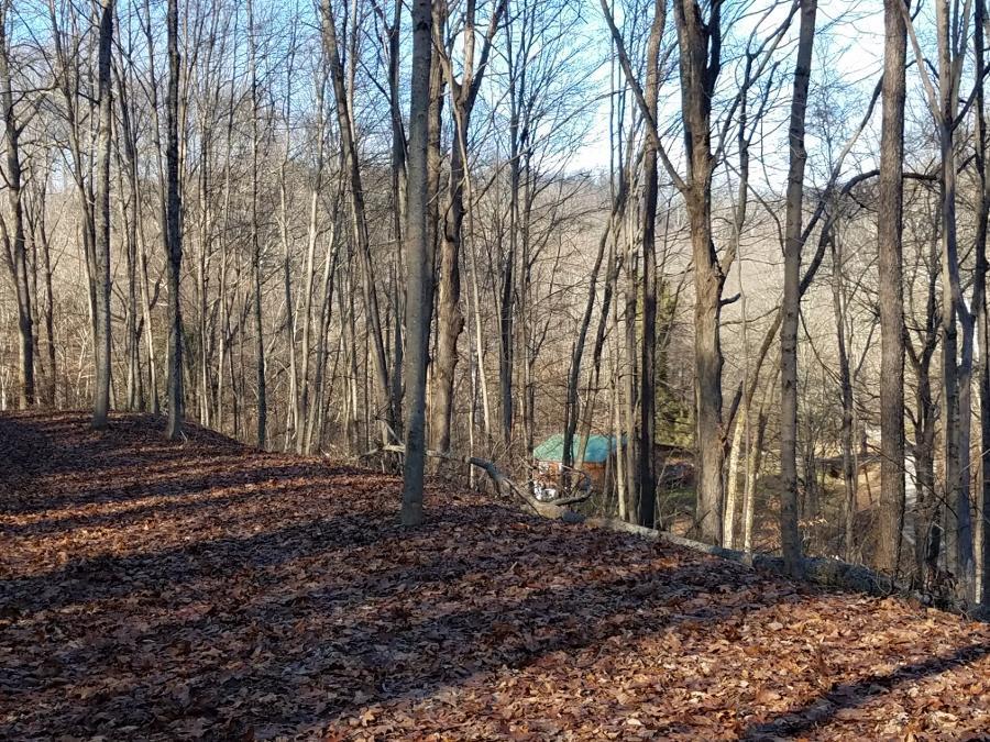 0 Koches Road Millfield, OH 45761 - Photo 30 of 53