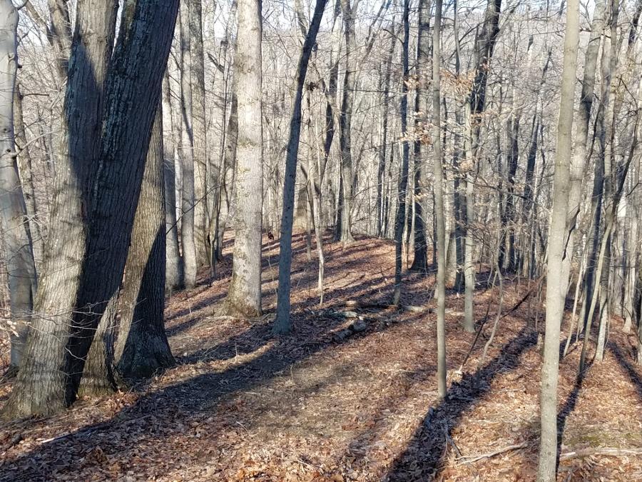 0 Koches Road Millfield, OH 45761 - Photo 36 of 53