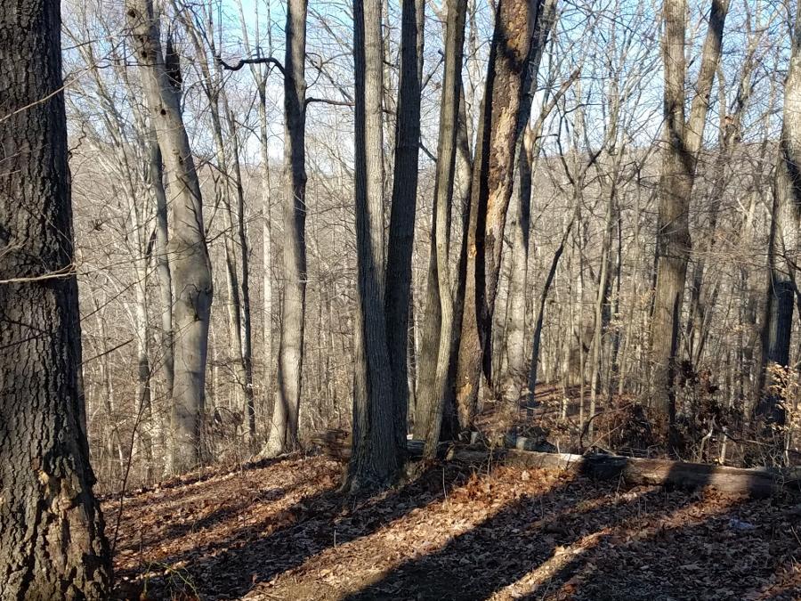 0 Koches Road Millfield, OH 45761 - Photo 38 of 53