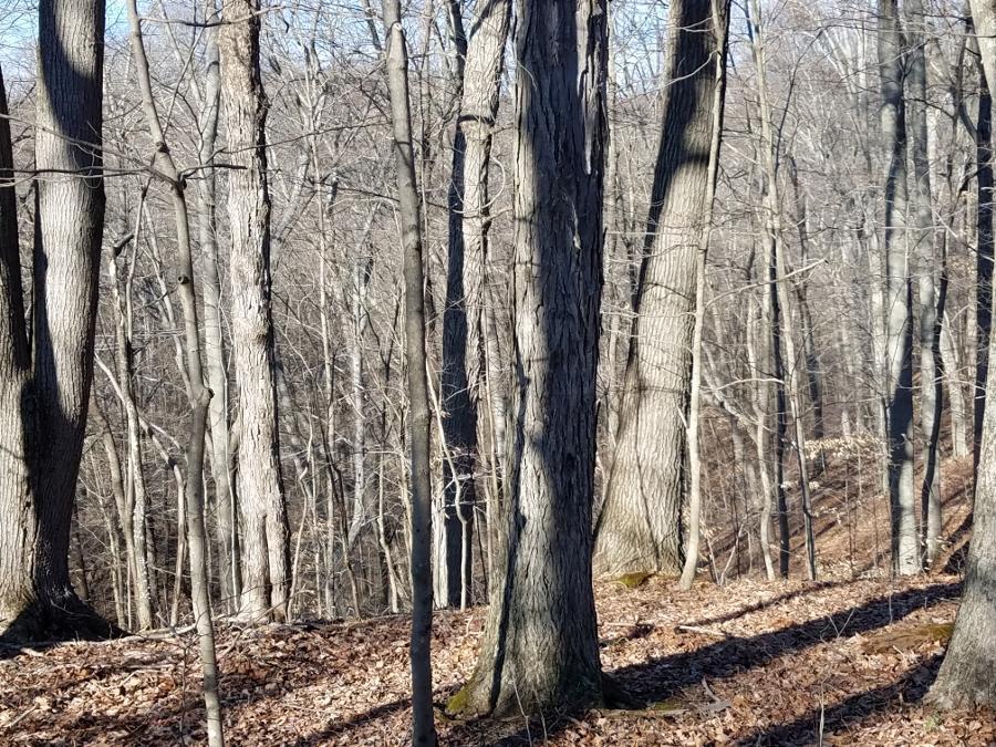 0 Koches Road Millfield, OH 45761 - Photo 42 of 53