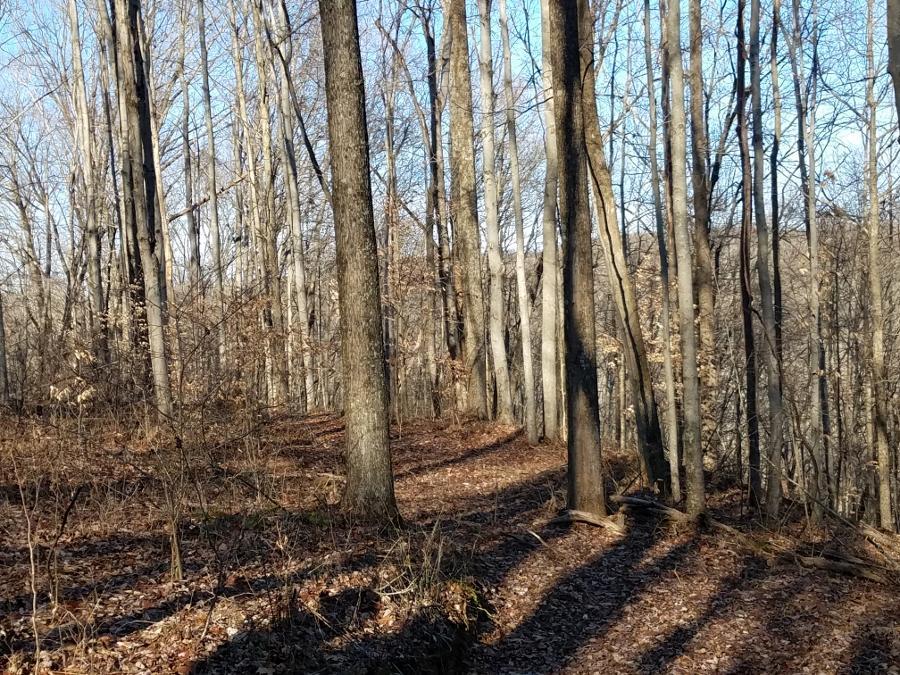 0 Koches Road Millfield, OH 45761 - Photo 44 of 53