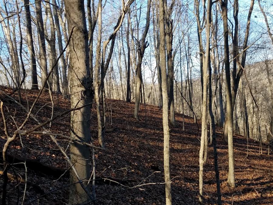 0 Koches Road Millfield, OH 45761 - Photo 47 of 53