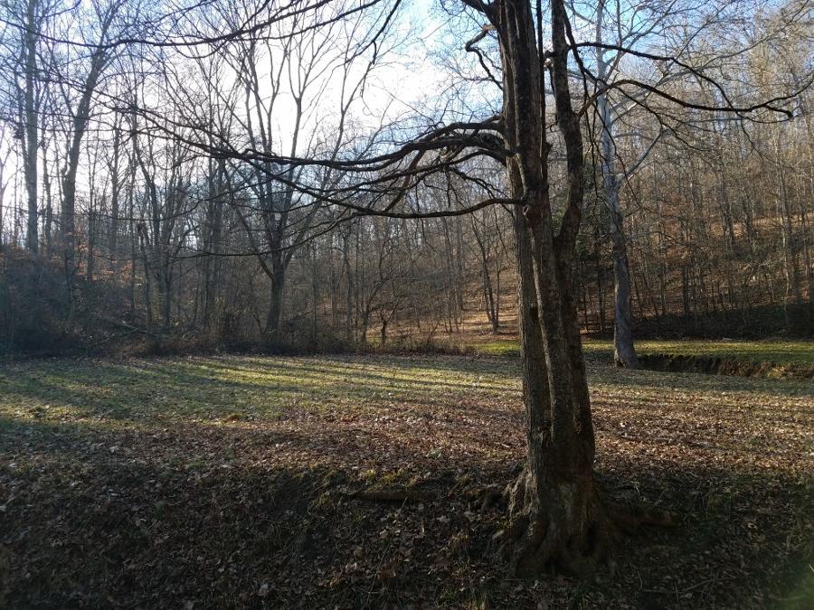 0 Koches Road Millfield, OH 45761 - Photo 53 of 53