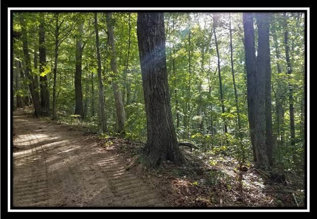 0 Koches Road Millfield, OH 45761 - Photo 7 of 53