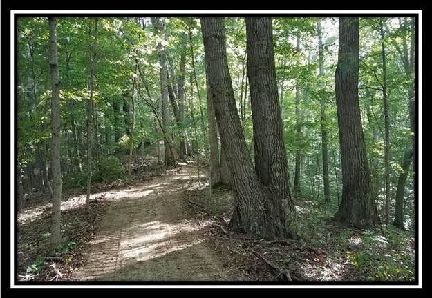 0 Koches Road Millfield, OH 45761 - Photo 8 of 53