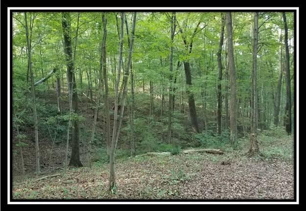 0 Koches Road Millfield, OH 45761 - Photo 10 of 53
