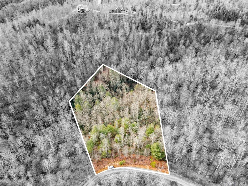 0 Firefly Trail, Unit 73 Marshall, NC 28753 - Photo 1 of 46
