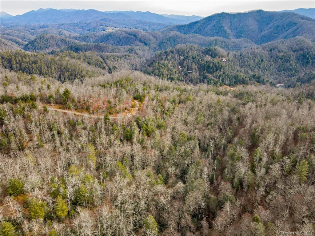 0 Firefly Trail, Unit 73 Marshall, NC 28753 - Photo 2 of 46
