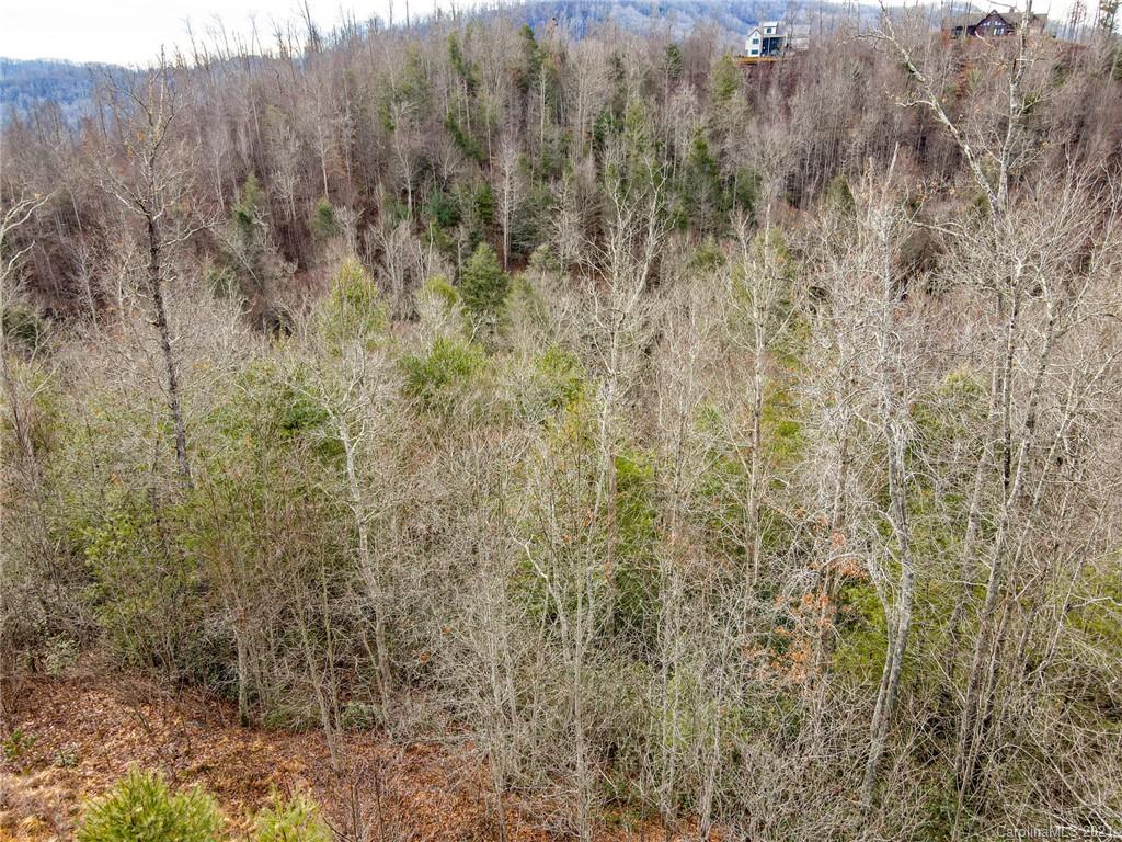 0 Firefly Trail, Unit 73 Marshall, NC 28753 - Photo 11 of 46