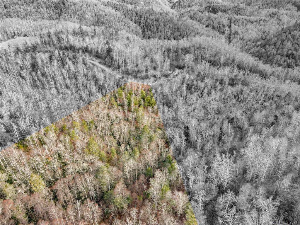 0 Firefly Trail, Unit 73 Marshall, NC 28753 - Photo 16 of 46