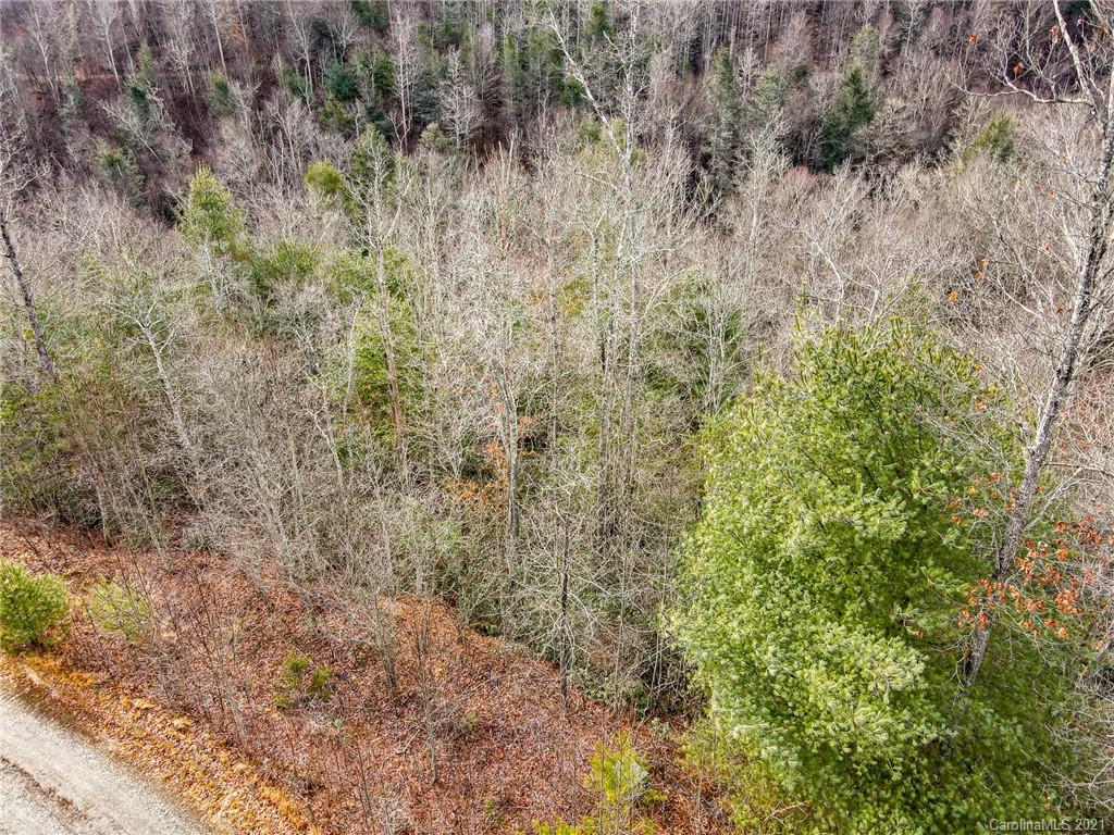 0 Firefly Trail, Unit 73 Marshall, NC 28753 - Photo 19 of 46