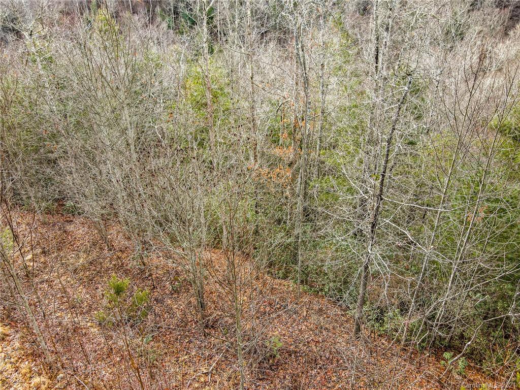 0 Firefly Trail, Unit 73 Marshall, NC 28753 - Photo 24 of 46