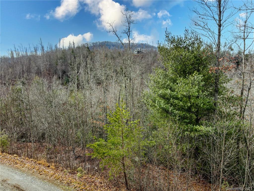 0 Firefly Trail, Unit 73 Marshall, NC 28753 - Photo 27 of 46