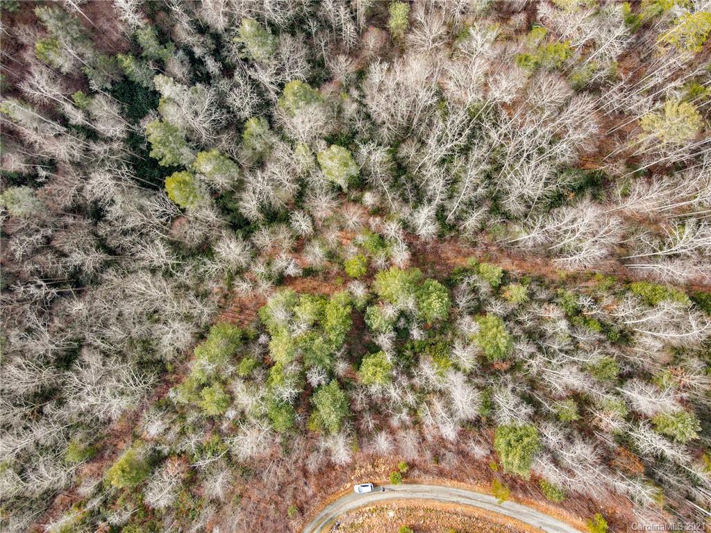 0 Firefly Trail, Unit 73 Marshall, NC 28753 - Photo 4 of 46