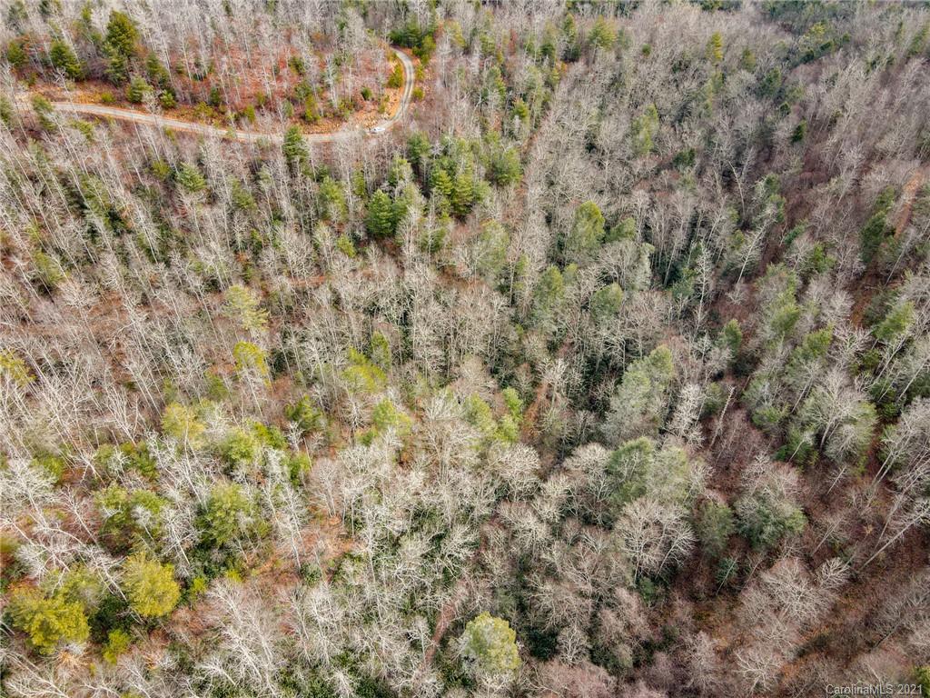 0 Firefly Trail, Unit 73 Marshall, NC 28753 - Photo 5 of 46