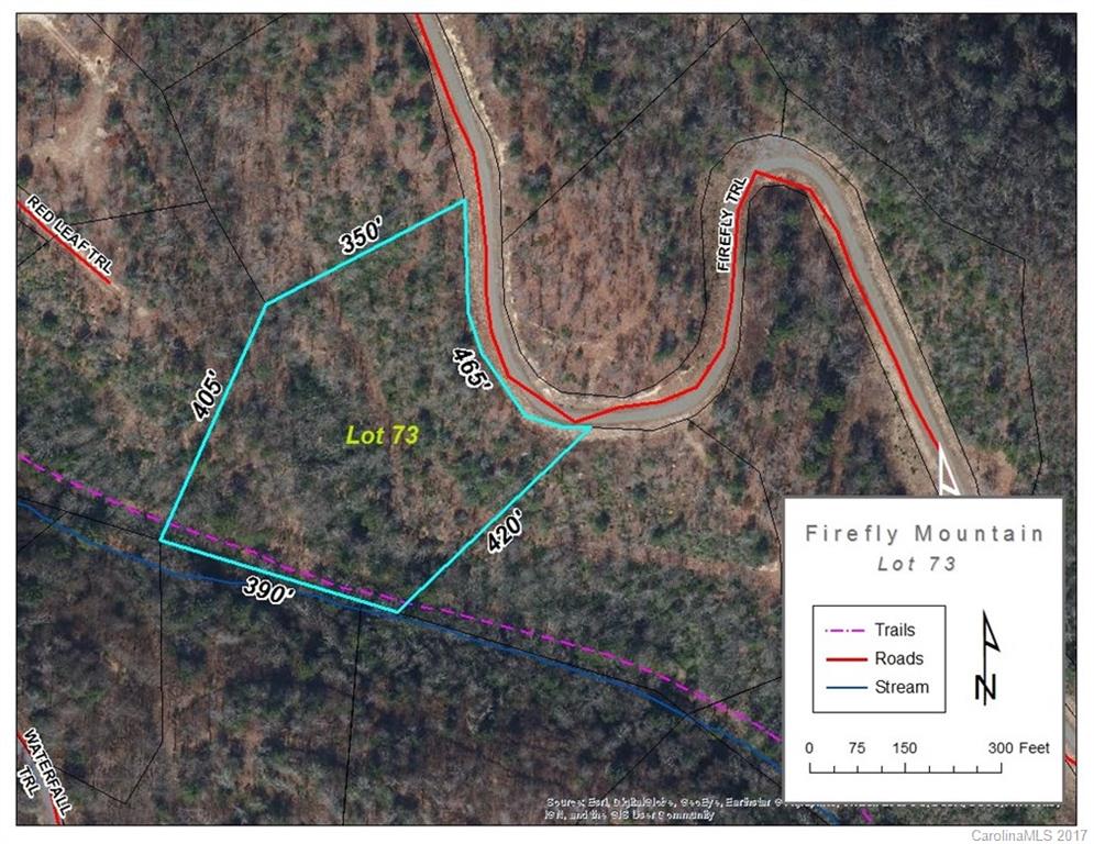 0 Firefly Trail, Unit 73 Marshall, NC 28753 - Photo 46 of 46