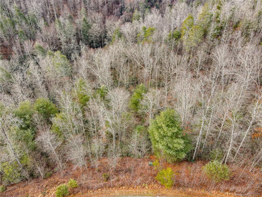0 Firefly Trail, Unit 73 Marshall, NC 28753 - Photo 6 of 46