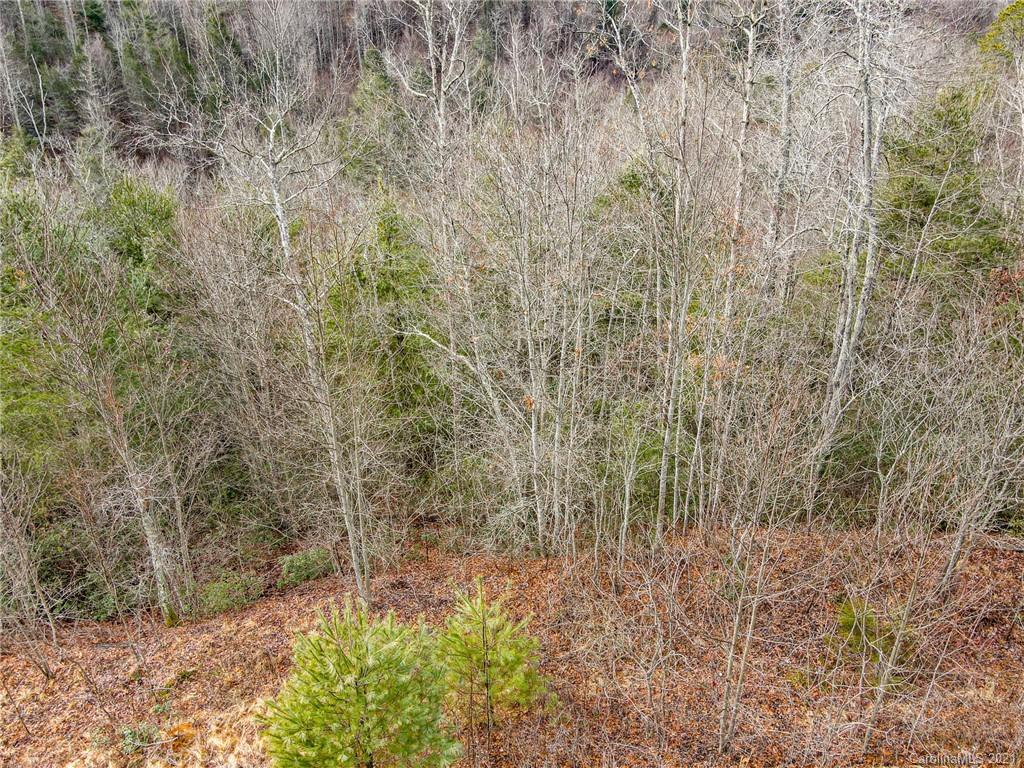 0 Firefly Trail, Unit 73 Marshall, NC 28753 - Photo 7 of 46