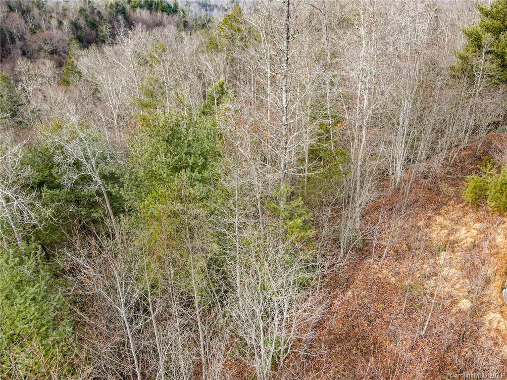 0 Firefly Trail, Unit 73 Marshall, NC 28753 - Photo 8 of 46