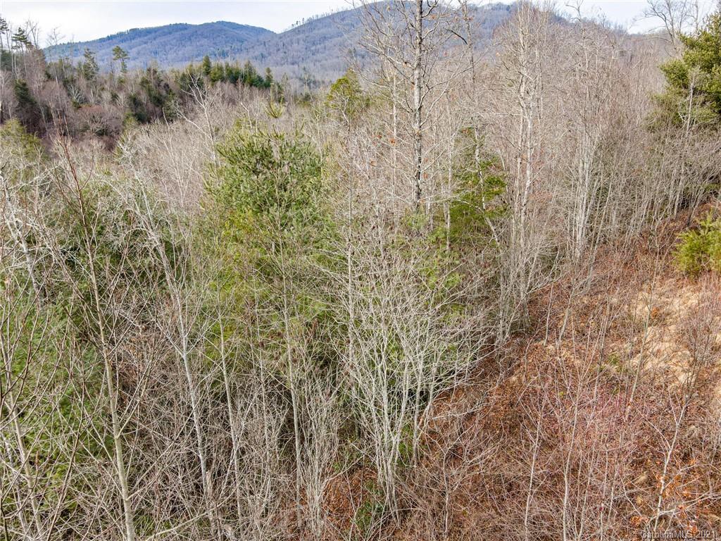 0 Firefly Trail, Unit 73 Marshall, NC 28753 - Photo 9 of 46