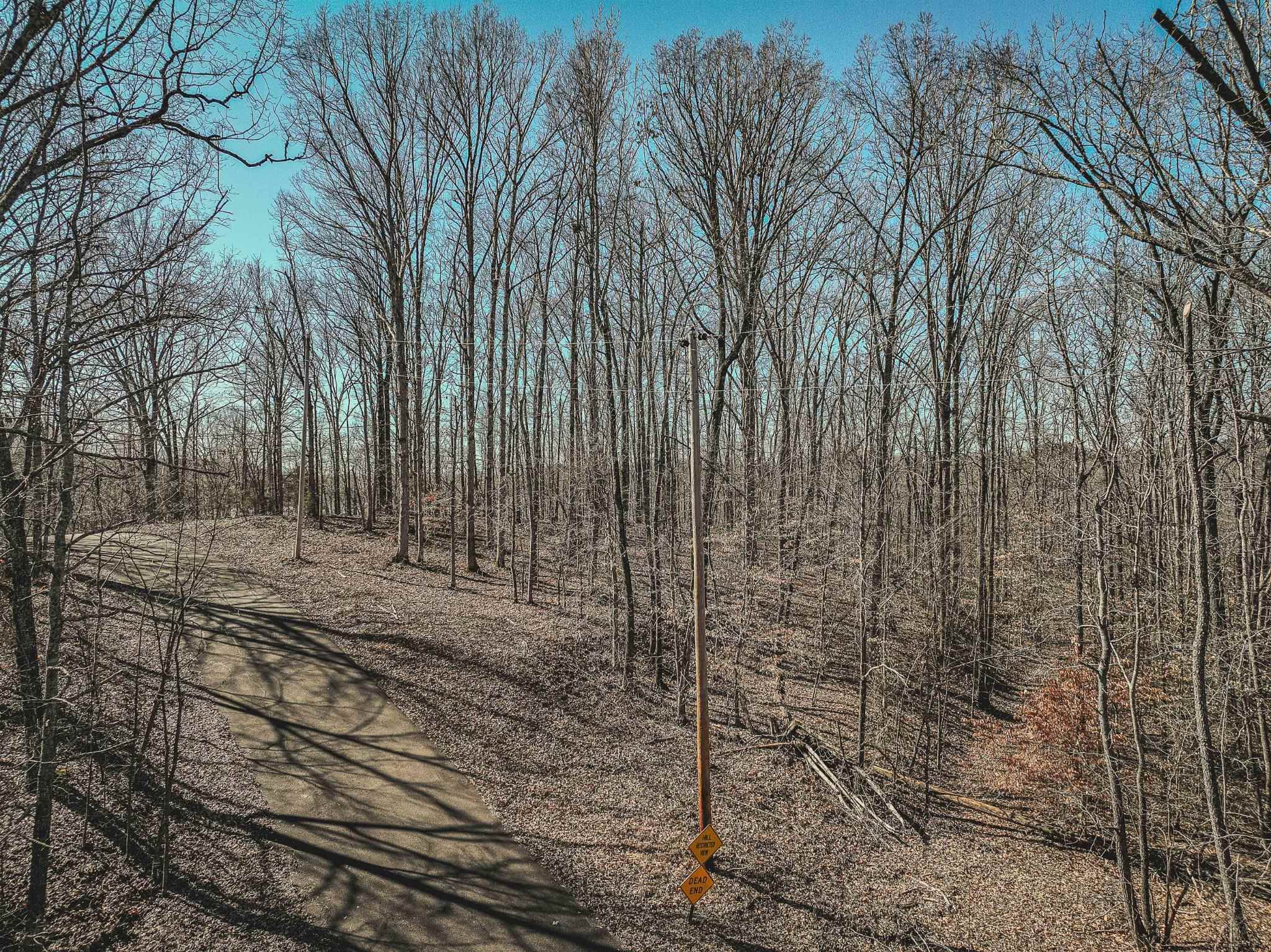 Lot 0425 Fawn Ridge Road Parsons, TN 38363 - Photo 7 of 21 a view of a backyard